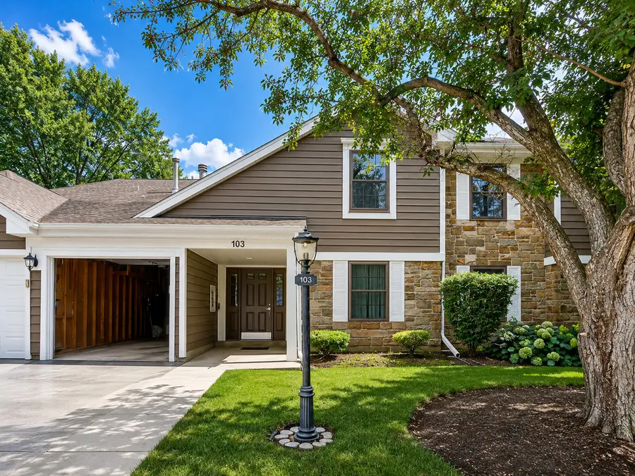 103 Marble Hill Court #B2, Schaumburg, IL 60193 - #2