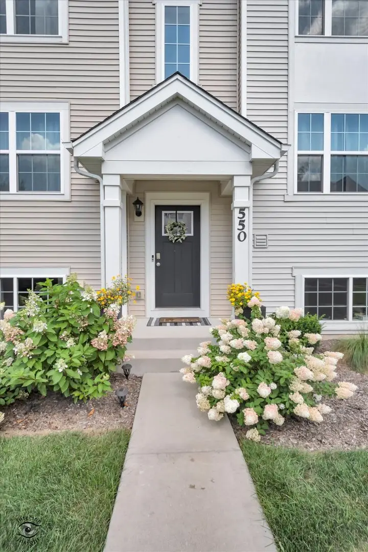 550 Spring Leaf Drive, Joliet, IL 60431 - #2