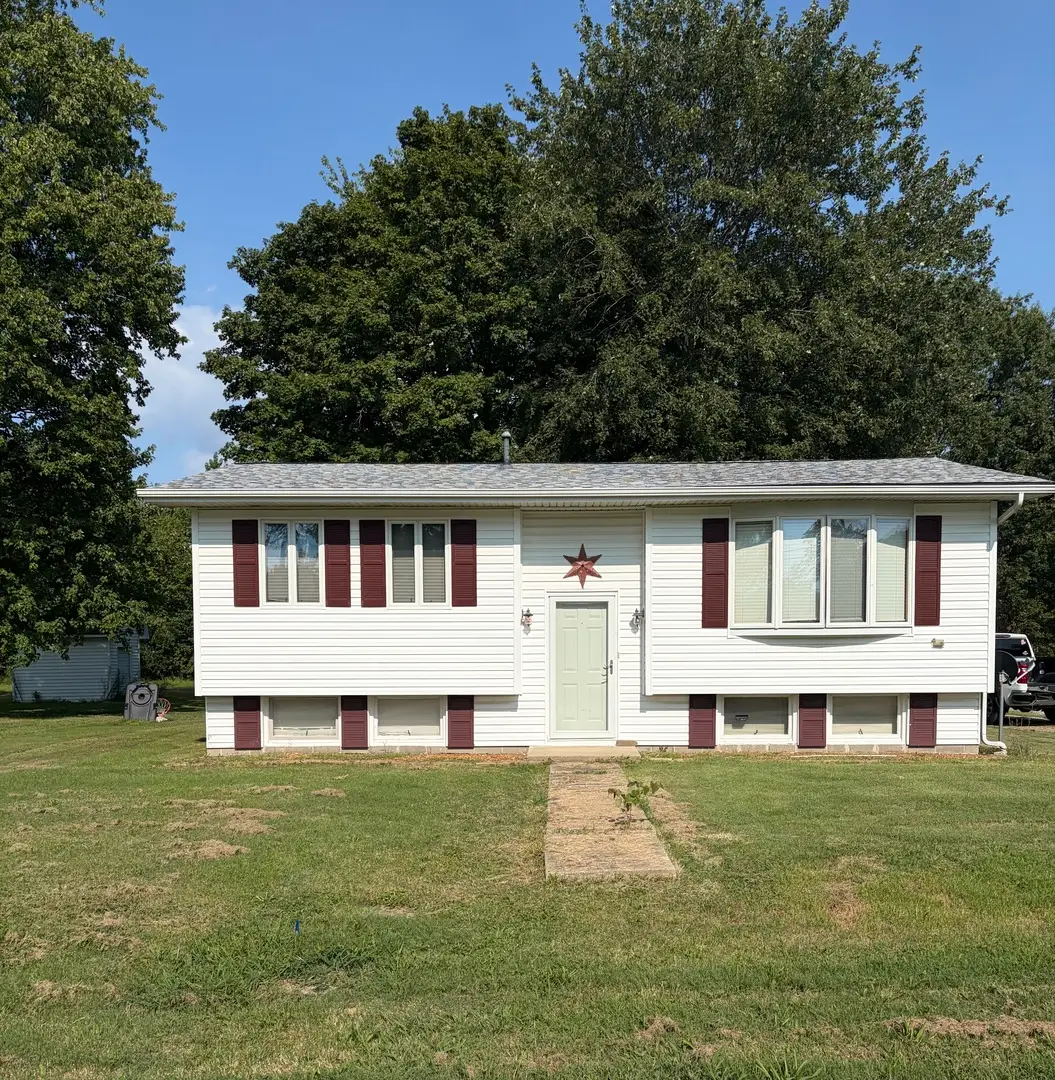 716 S Cockrum Street, Sesser, IL 62884 - #1