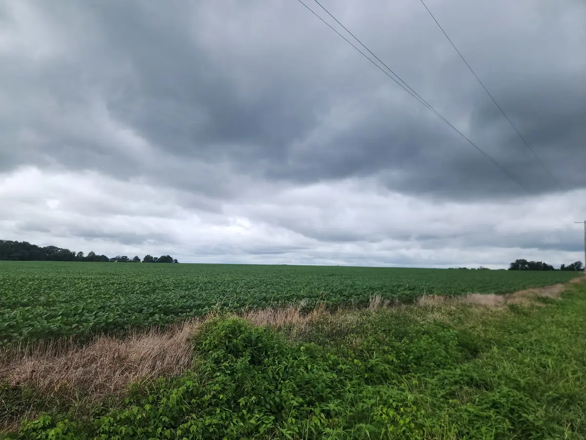0000 Lost Prairie Road, Coulterville, IL 62237 - #1
