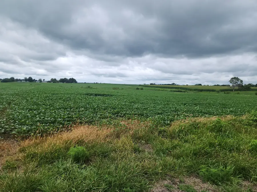 0000 Lost Prairie Road, Coulterville, IL 62237 - #2