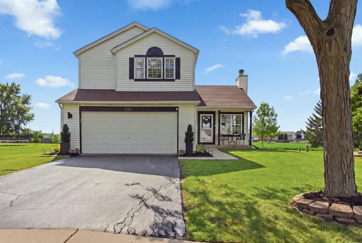 2125 Victoria Lakes Court, Plainfield, IL 60586 - #1