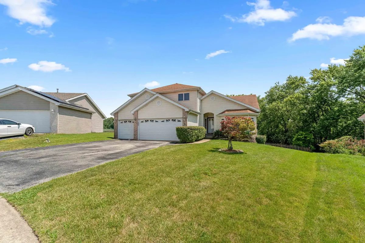 230 Lakeview Court, Steger, IL 60475 - #1