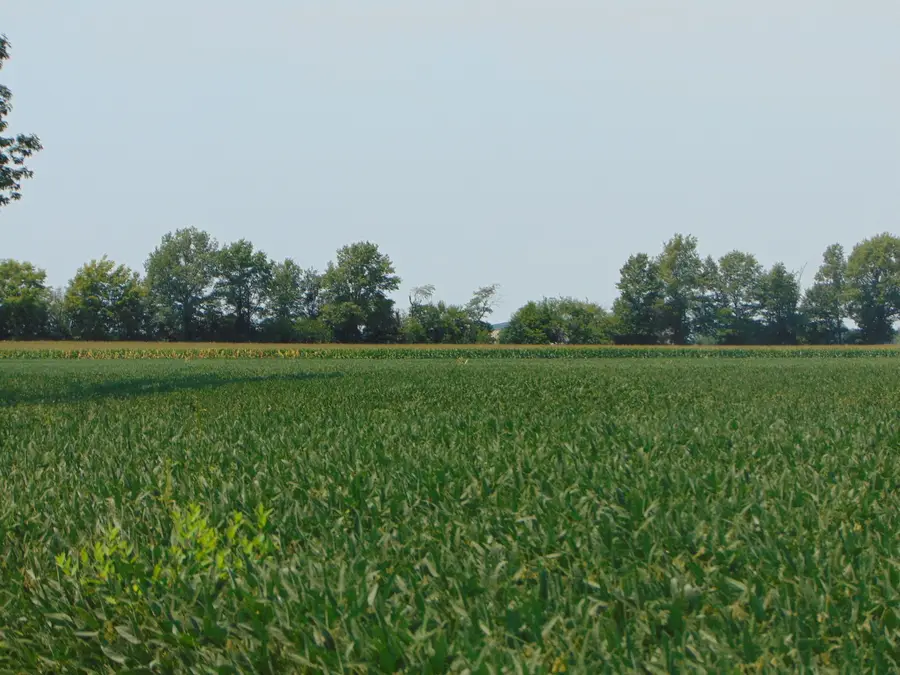 0000 State Route 14 Highway, Du Quoin No 10, IL 62832 - #2
