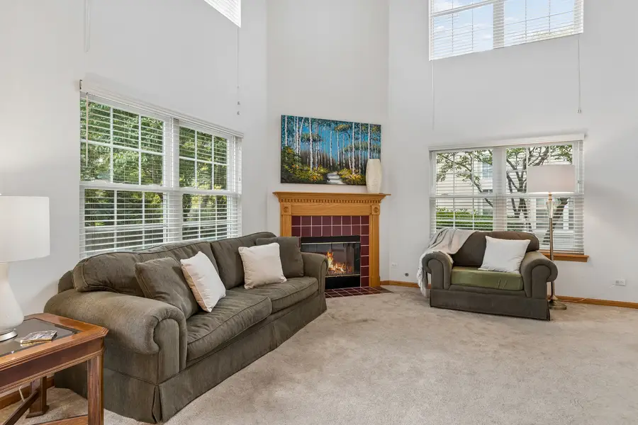 3067 Serenity Lane, Naperville, IL 60564 - #2