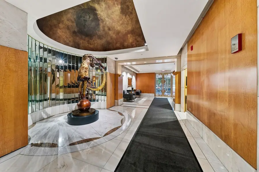 111 E Chestnut Street #30G, Chicago, IL 60611 - #3