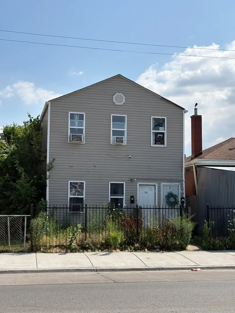 253 W 43rd Street, Chicago, IL 60609 - #1