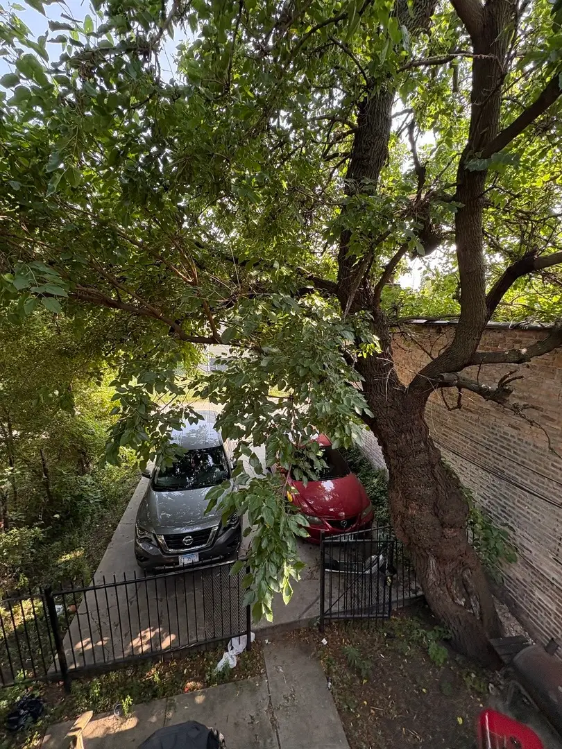 253 W 43rd Street, Chicago, IL 60609 - #2