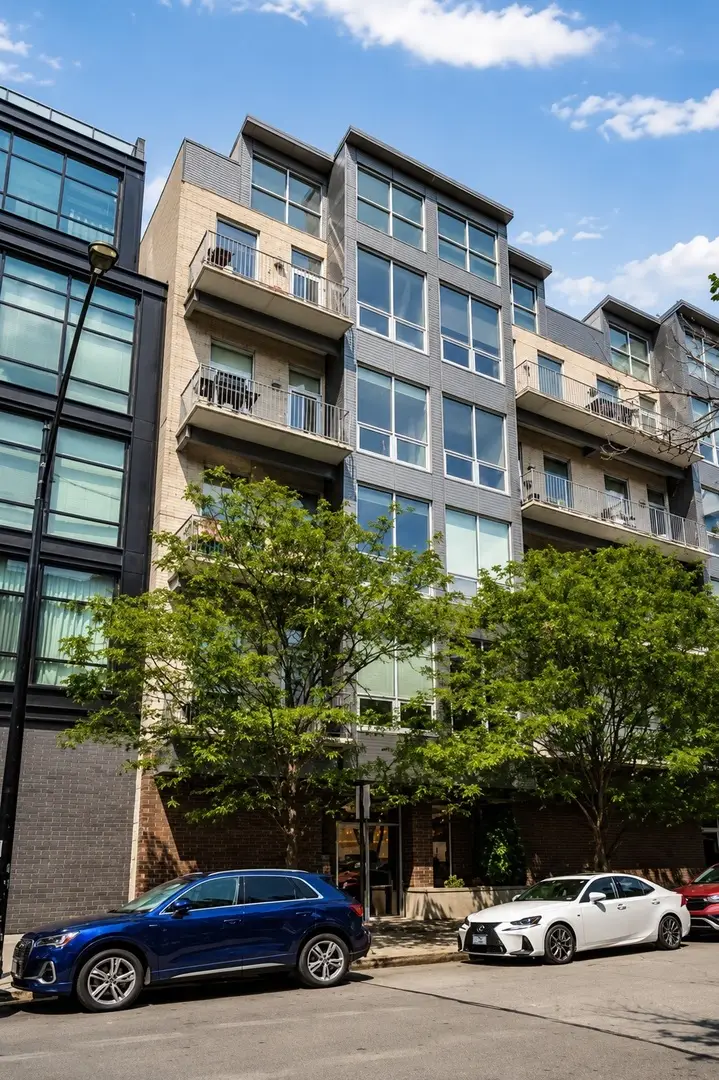 16 N Carpenter Street #4N, Chicago, IL 60607 - #1