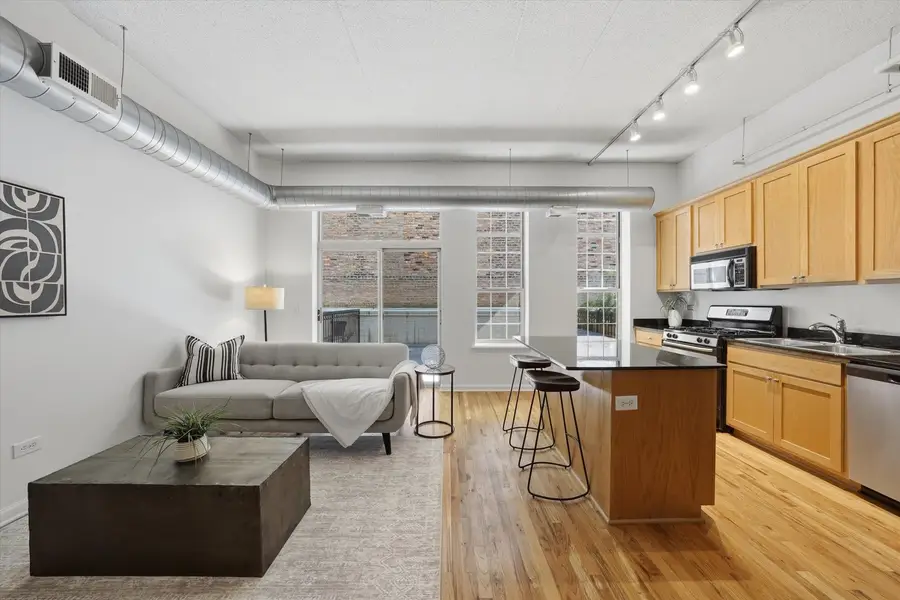 1919 S Michigan Avenue #208, Chicago, IL 60616 - #2