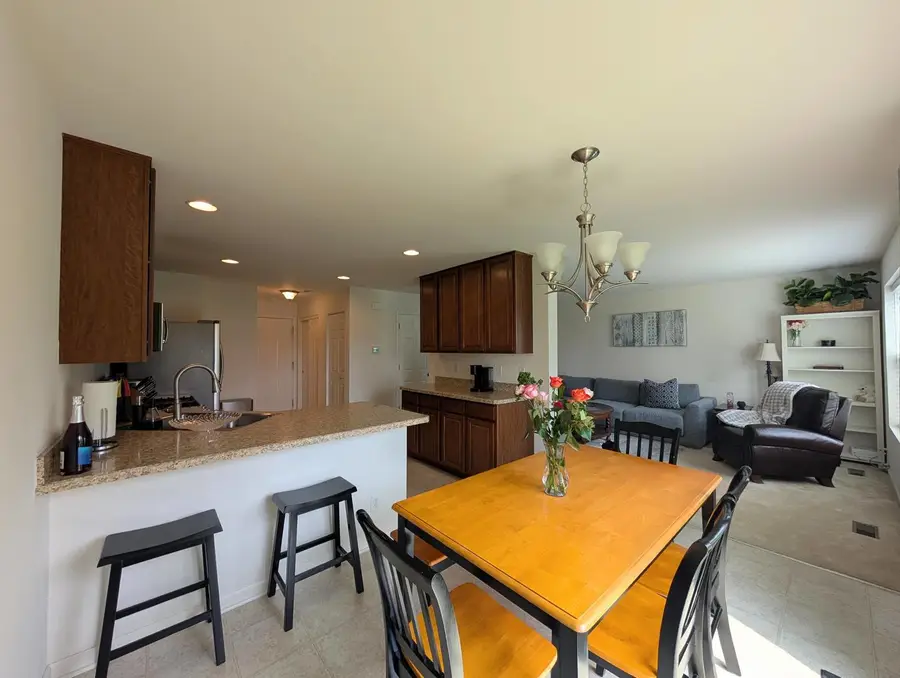 1219 Da Vinci Drive, Hampshire, IL 60140 - #3