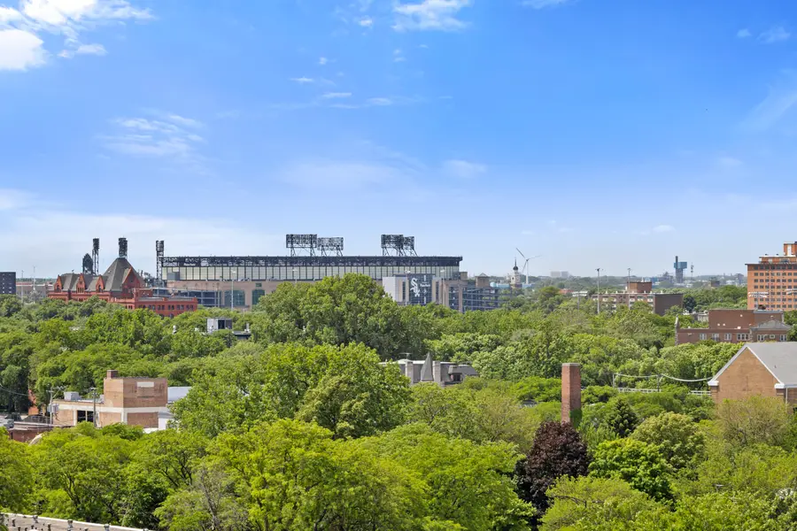 2605 S Indiana Avenue #1007, Chicago, IL 60616 - #3