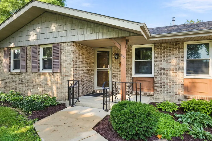 703 Hill Street, Mazon, IL 60444 - #3
