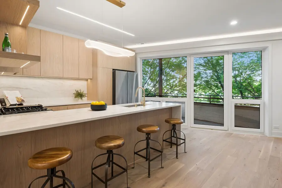 1656 N Bosworth Avenue #3S, Chicago, IL 60642 - #3