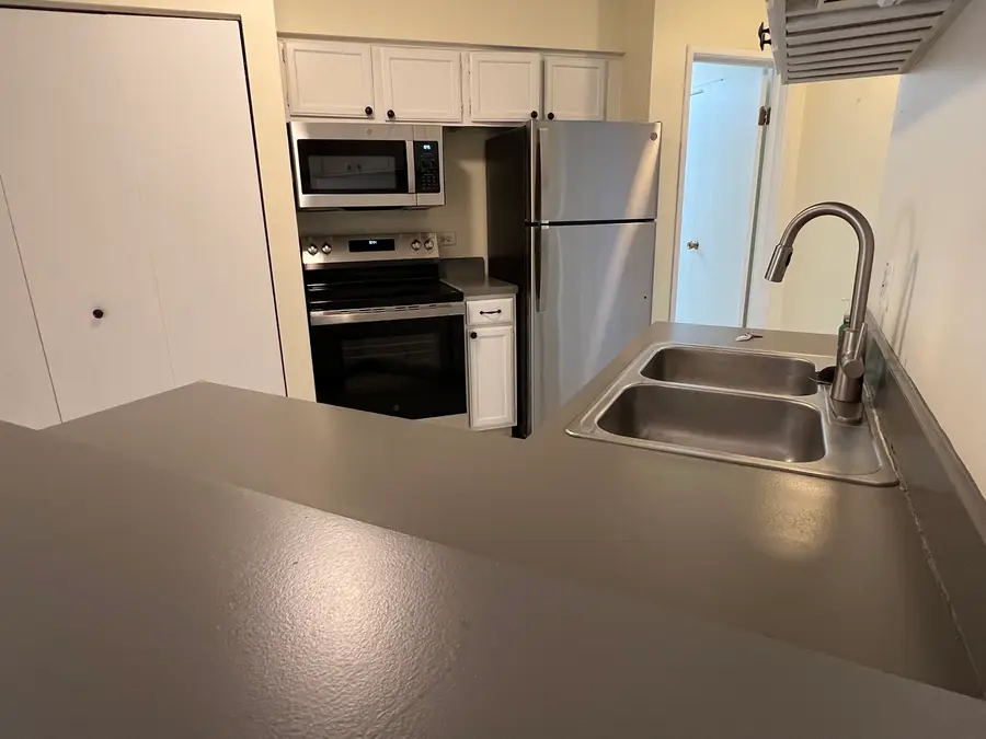 1235 Wyndham Court #202, Palatine, IL 60074 - #3
