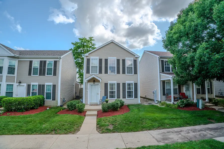 233 W Washington Street, Oswego, IL 60543 - #2