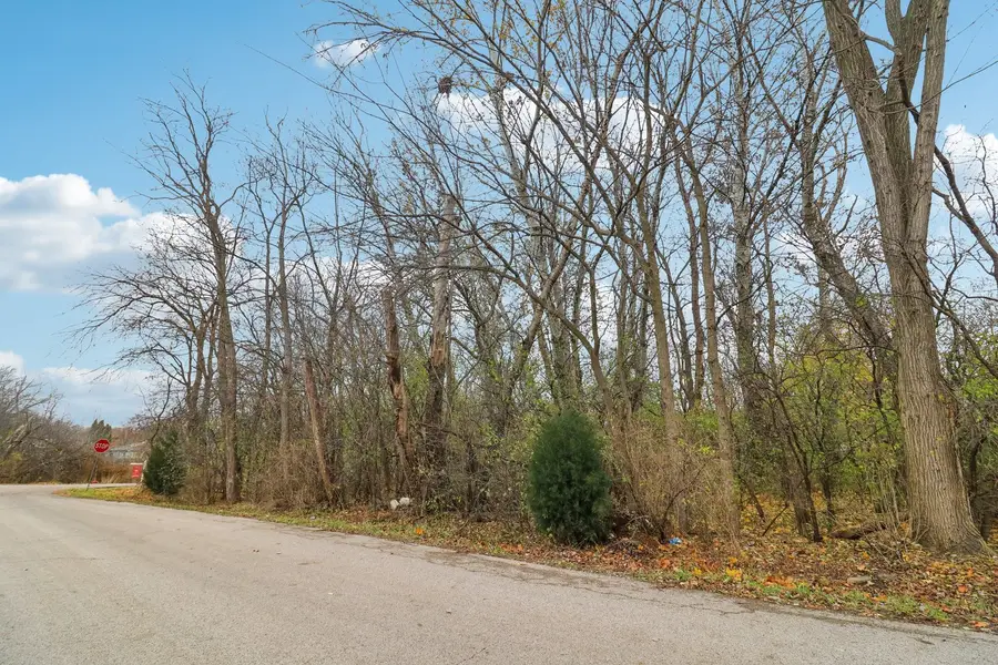 22771 Lake Park Avenue, Round Lake Beach, IL 60073 - #3