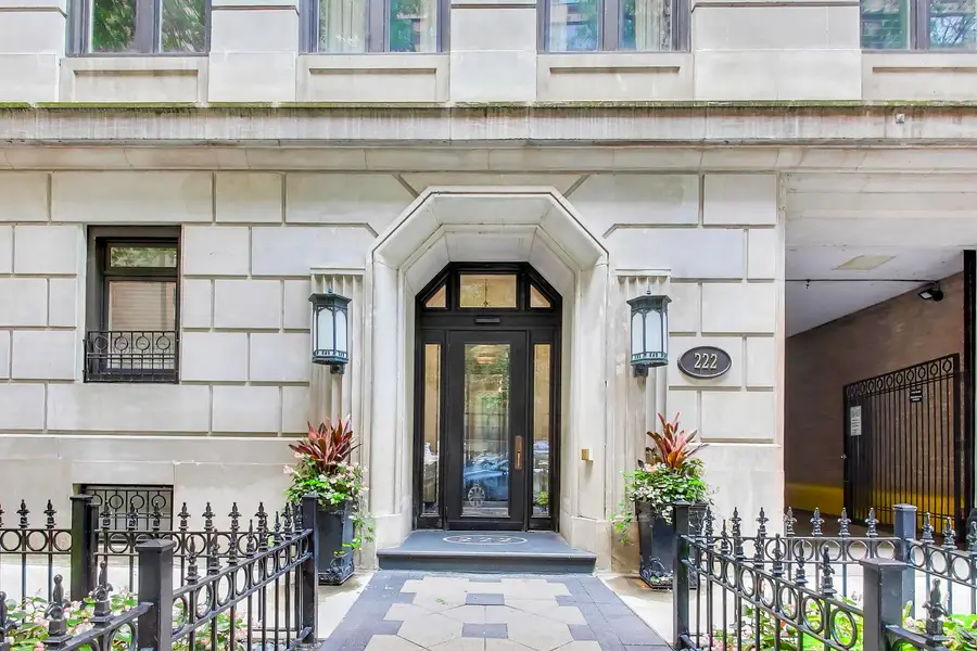 222 E Chestnut Street #9D, Chicago, IL 60611 - #2