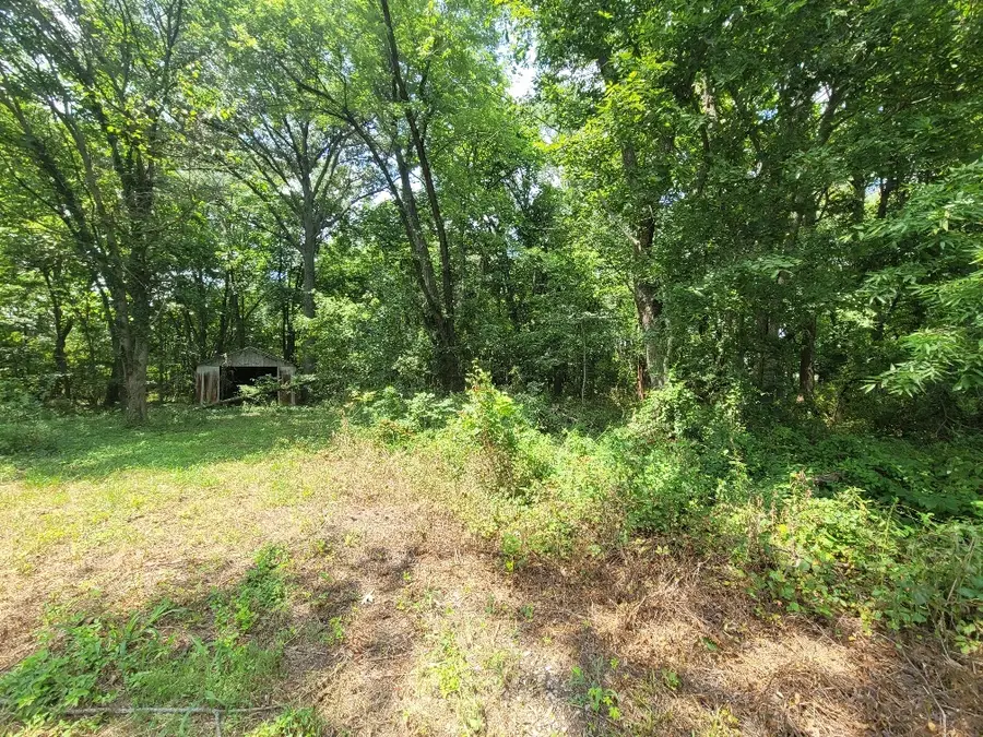 9469 County Road 1350 Road, McLeansboro, IL 62859 - #3