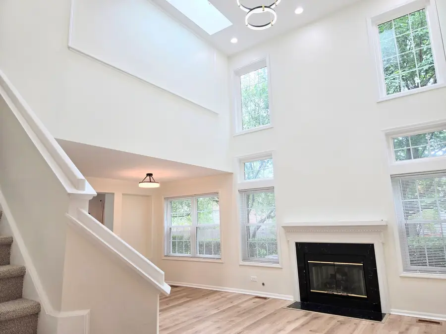 168 Holmes Way, Schaumburg, IL 60193 - #3