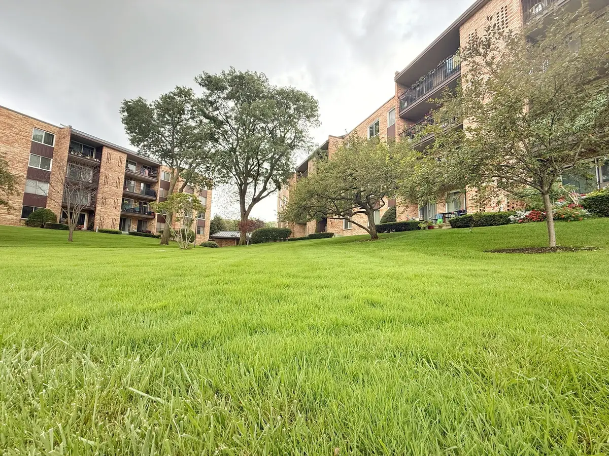 502 W Huntington Commons Road #438, Mount Prospect, IL 60056 - #1