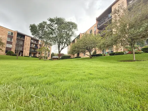 502 W Huntington Commons Road #438, Mount Prospect, IL 60056