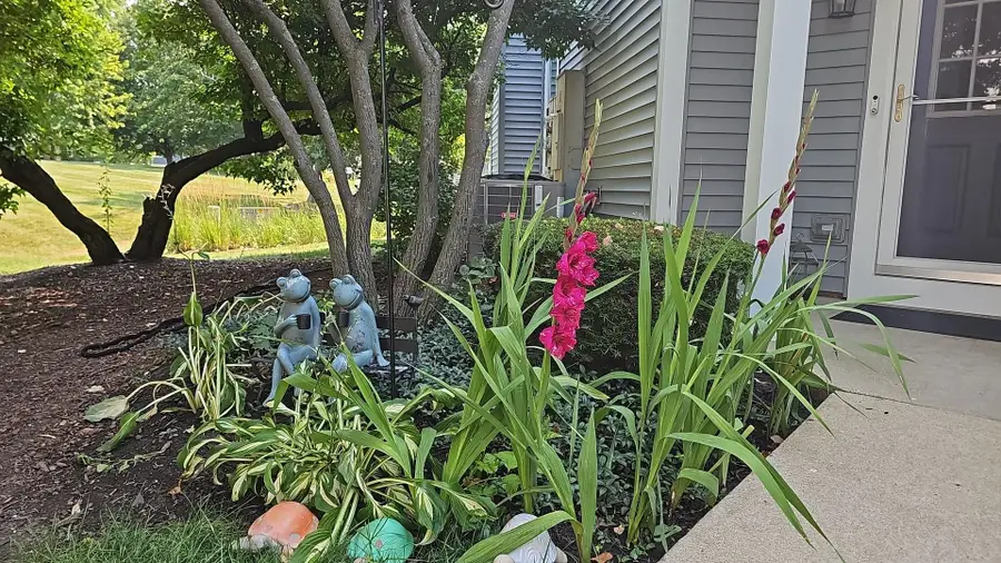 1826 Lucylle Court, Saint Charles, IL 60174 - #3