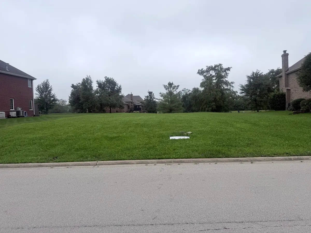 25538 S Devonshire Lane, Monee, IL 60449 - #1