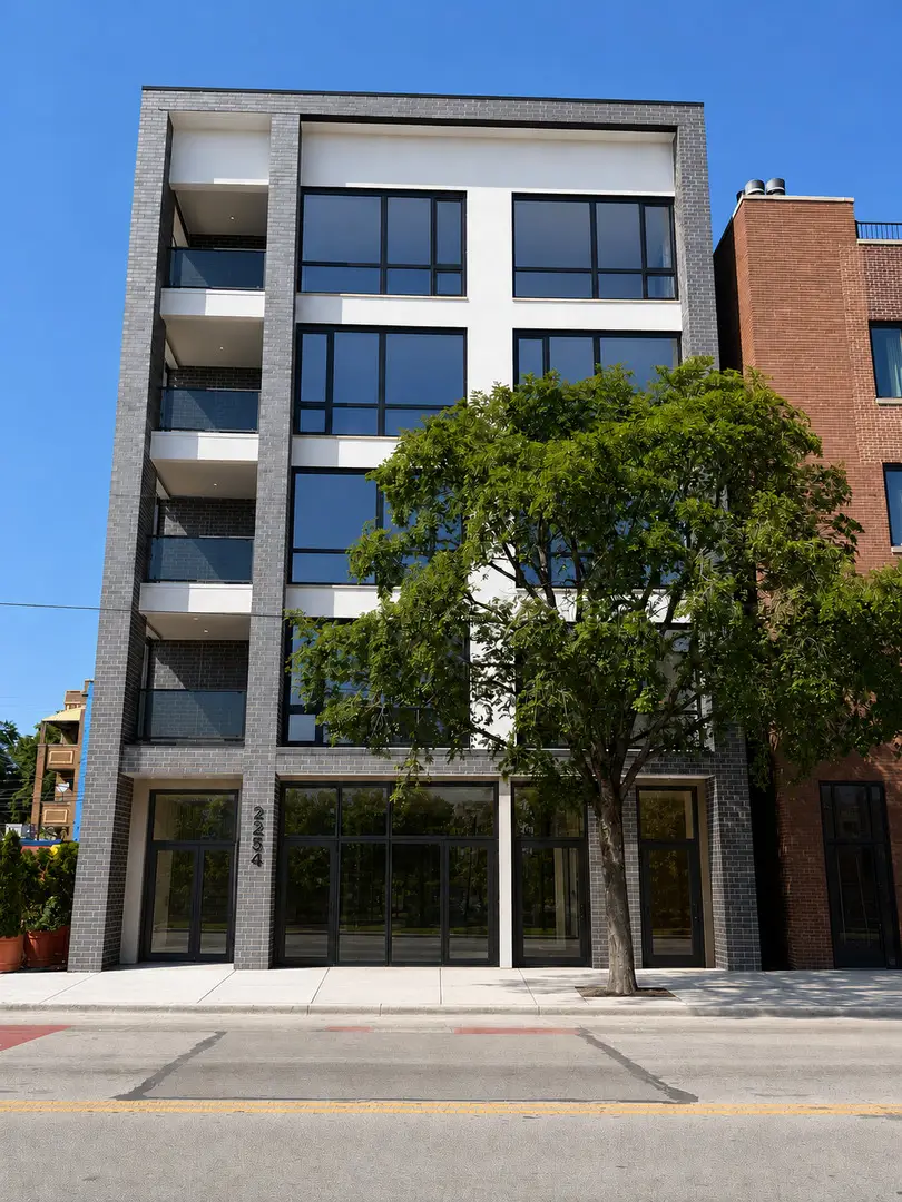 2254 W Chicago Avenue #2N, Chicago, IL 60622 - #1