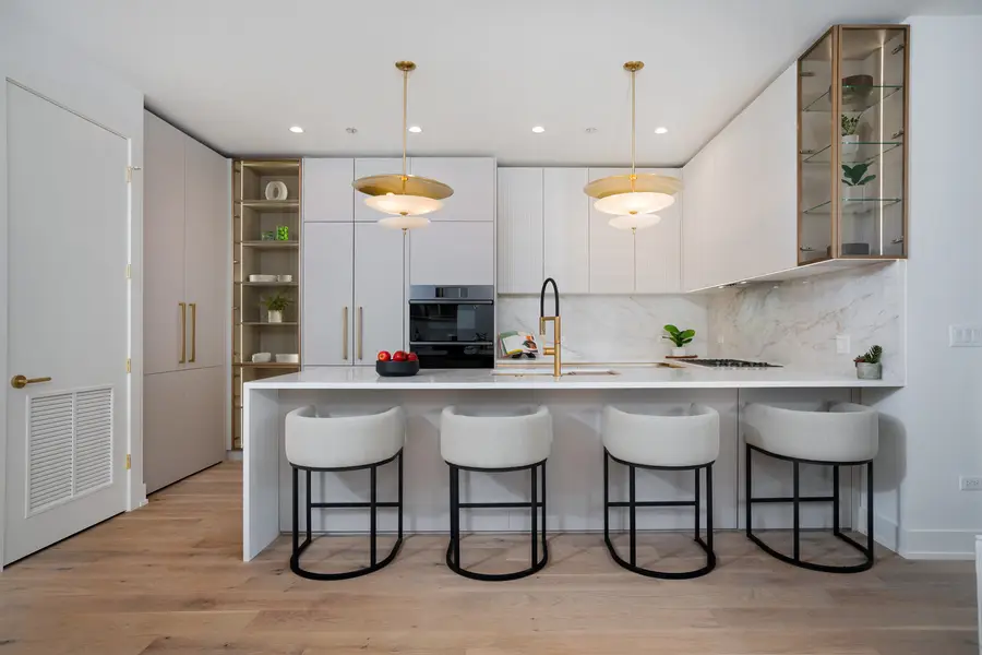 2254 W Chicago Avenue #2N, Chicago, IL 60622 - #3