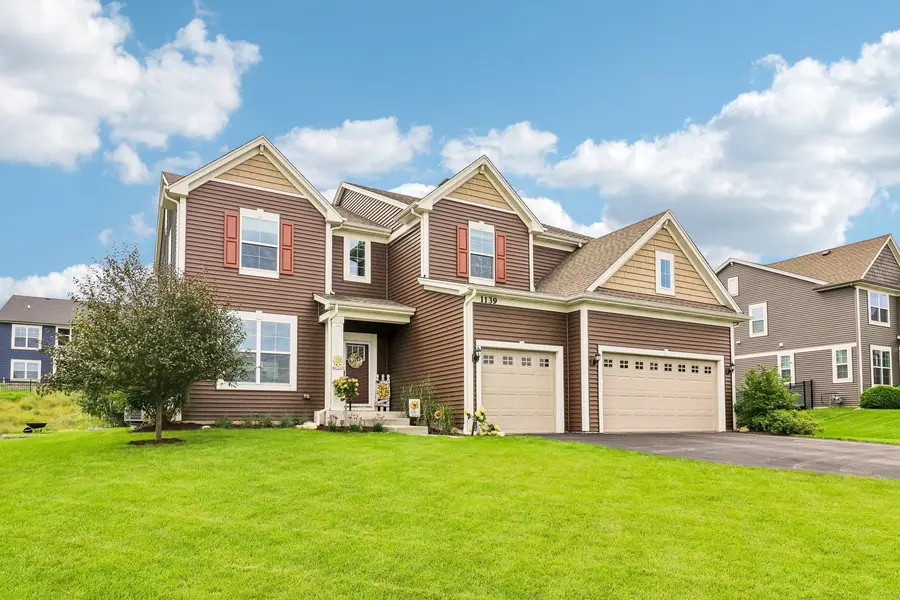 1139 River Birch Boulevard, Crystal Lake, IL 60012 - #2