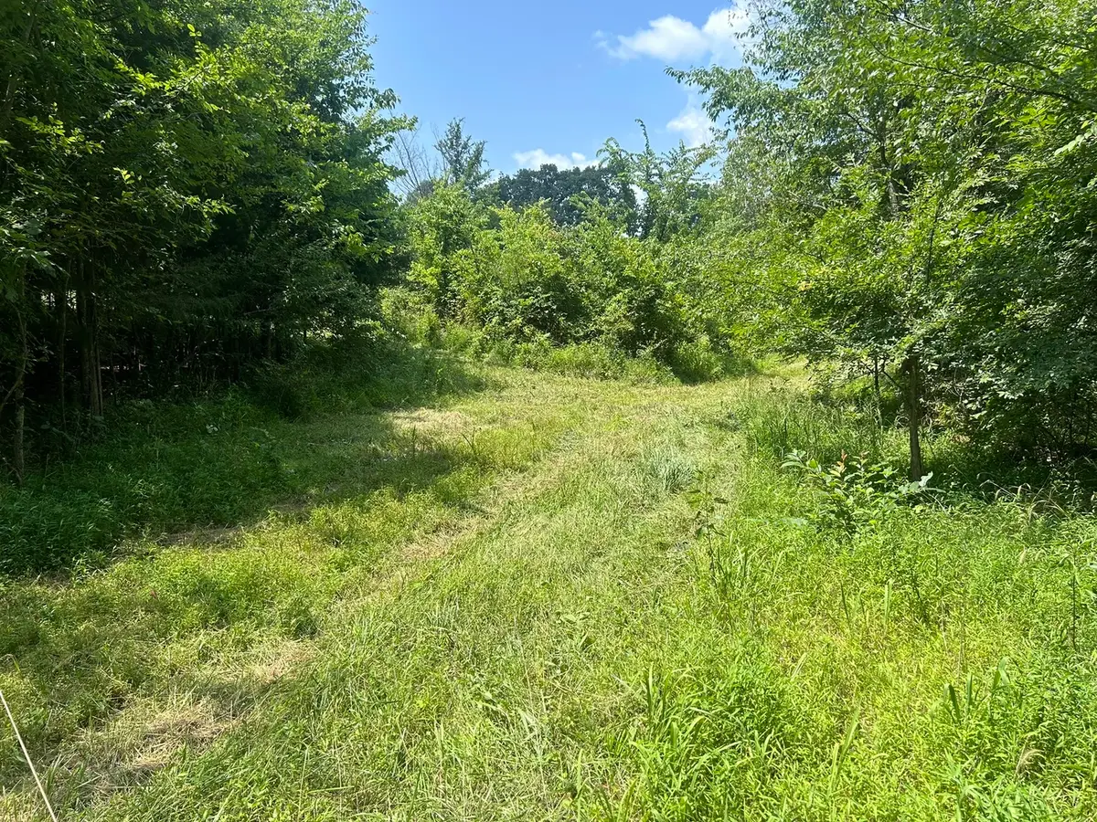 TBD Bushwack Road, Golconda, IL 62938 - #1