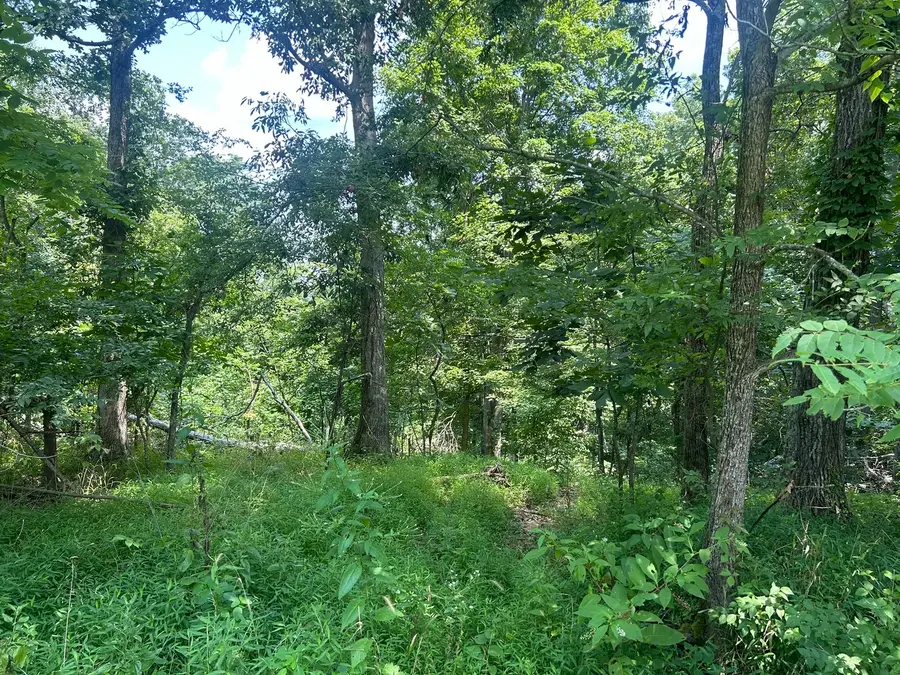 TBD Bushwack Road, Golconda, IL 62938 - #2