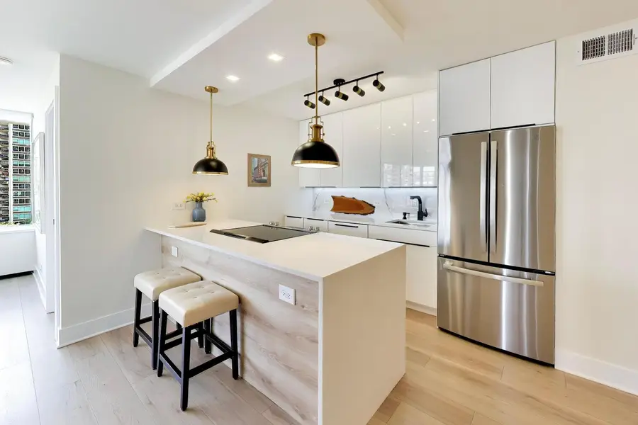 1355 N Sandburg Terrace #1002D, Chicago, IL 60610 - #3