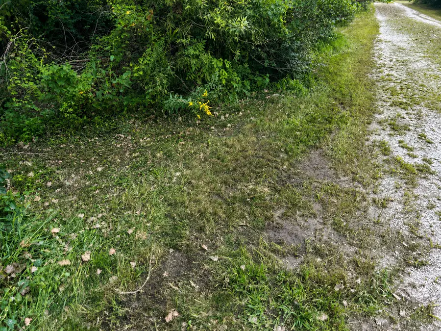 0000 15500 Road, Pembroke, IL 60958 - #2