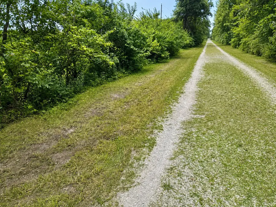0000 15500 Road, Pembroke, IL 60958 - #3