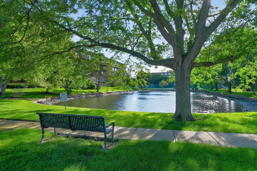 8001 W Courte Drive #411, Niles, IL 60714 - #3
