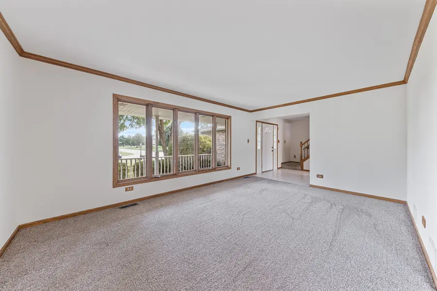 1761 Pheasant Lane, New Lenox, IL 60451 - #3