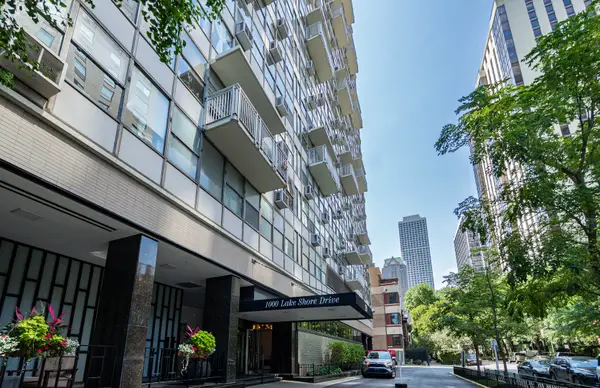 1000 N Lake Shore Drive #308, Chicago, IL 60611