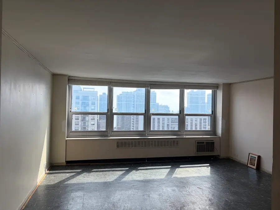 1255 N Sandburg Terrace #2304E, Chicago, IL 60610 - #3