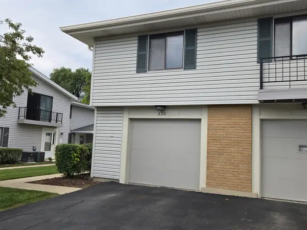 230 Patuxet Court #230, Schaumburg, IL 60194