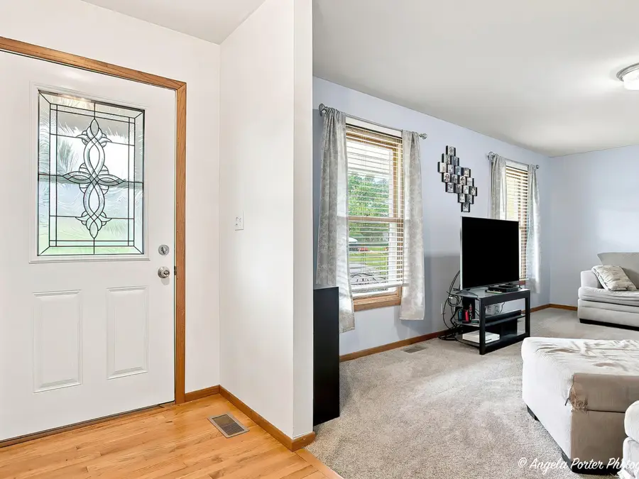24878 W Highwoods Drive, Lake Villa, IL 60046 - #3