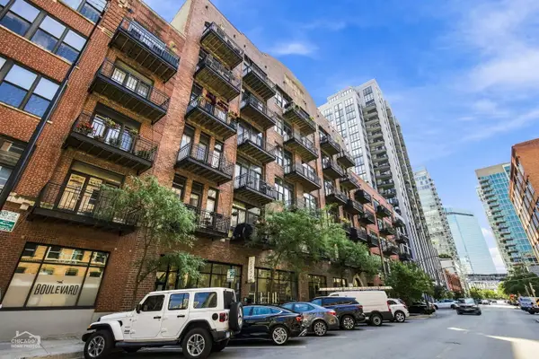 375 W Erie Street #221, Chicago, IL 60654