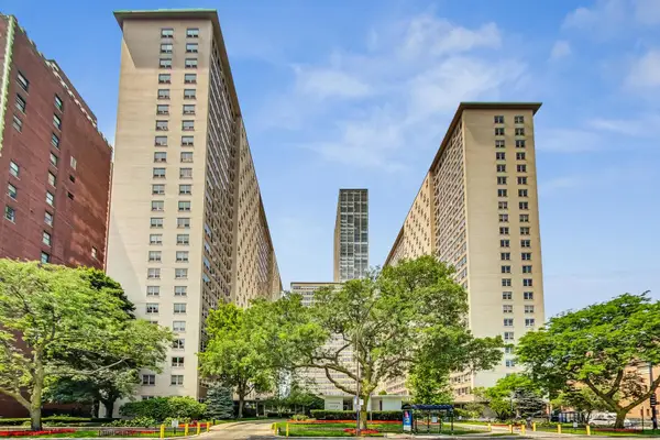 3950 N Lake Shore Drive #2202, Chicago, IL 60613
