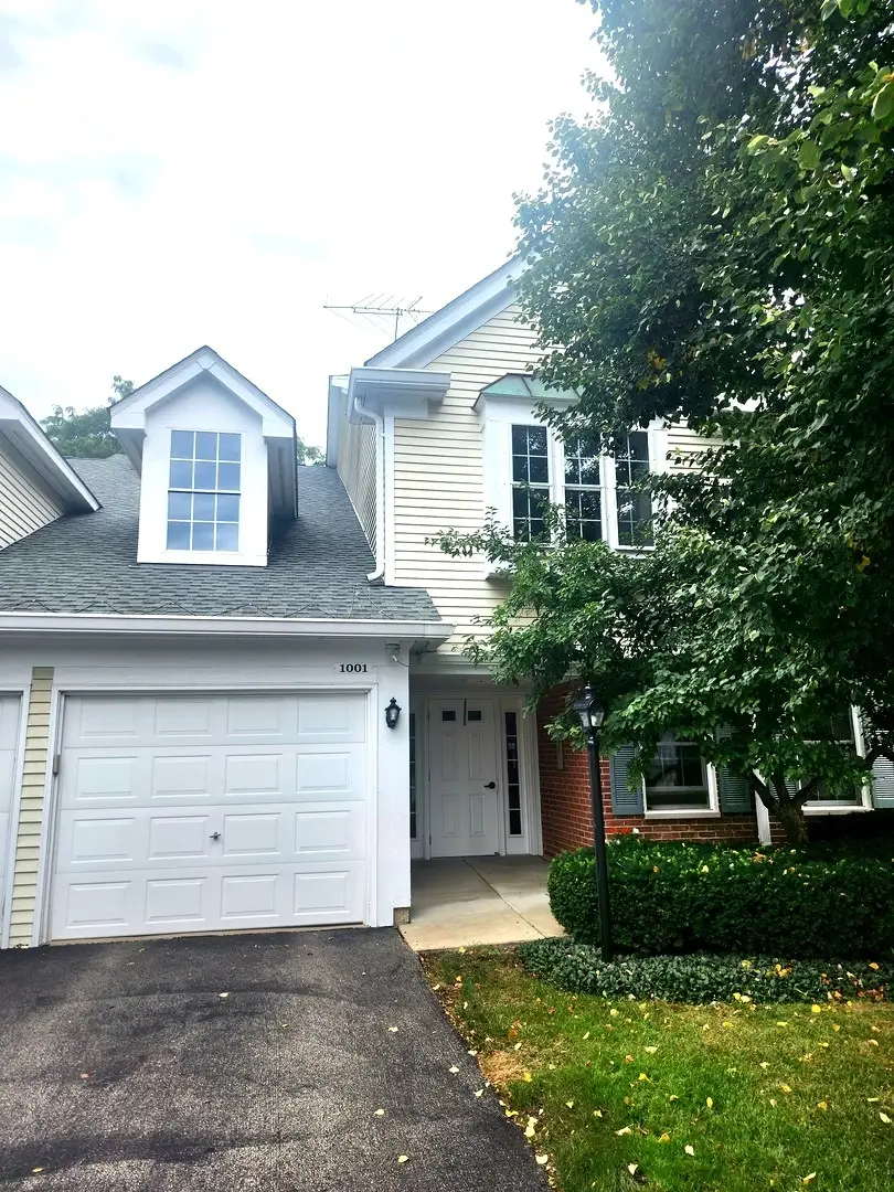 1001 Butternut Lane #C, Mount Prospect, IL 60056 - #3