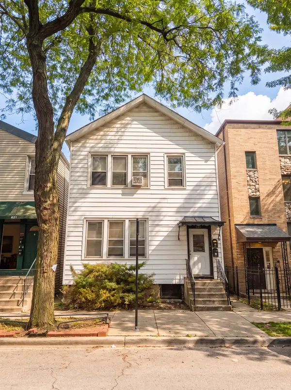 823 S Carpenter Street, Chicago, IL 60607