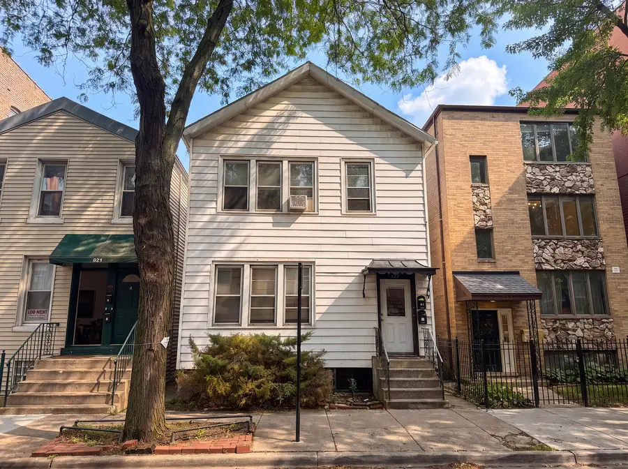 823 S Carpenter Street, Chicago, IL 60607 - #2
