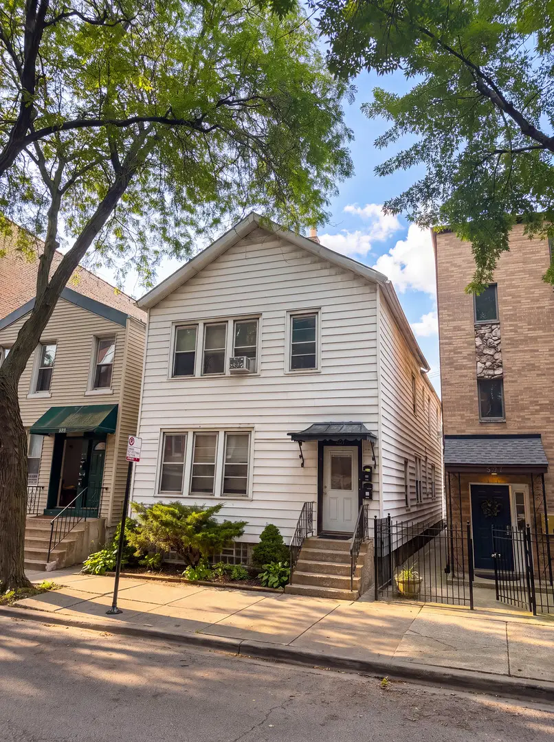 823 S Carpenter Street, Chicago, IL 60607 - #3