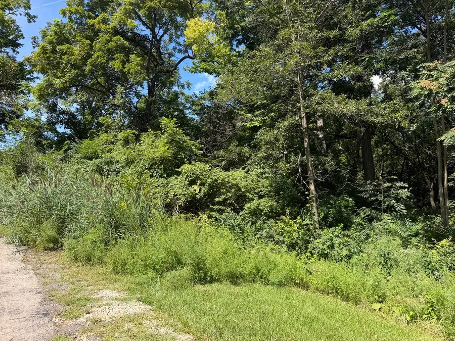 200 Richards Street, Oglesby, IL 61348 - #2