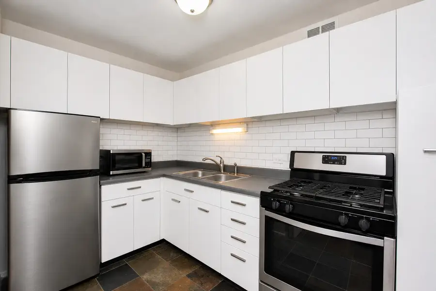 1401 E 55th Street #509N, Chicago, IL 60615 - #3